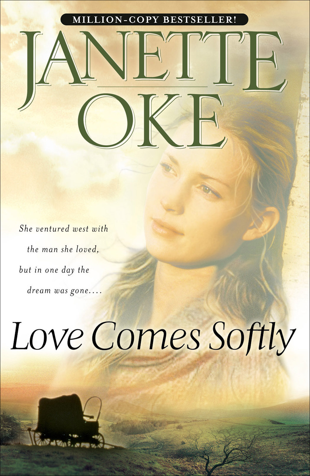 http://inspirationalhistoricalfiction.com/wp-content/uploads/2023/12/Love-Comes-Softly.jpeg